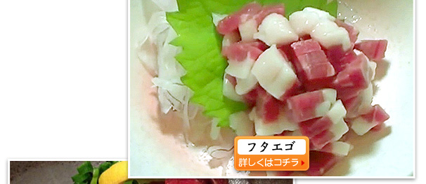 赤身